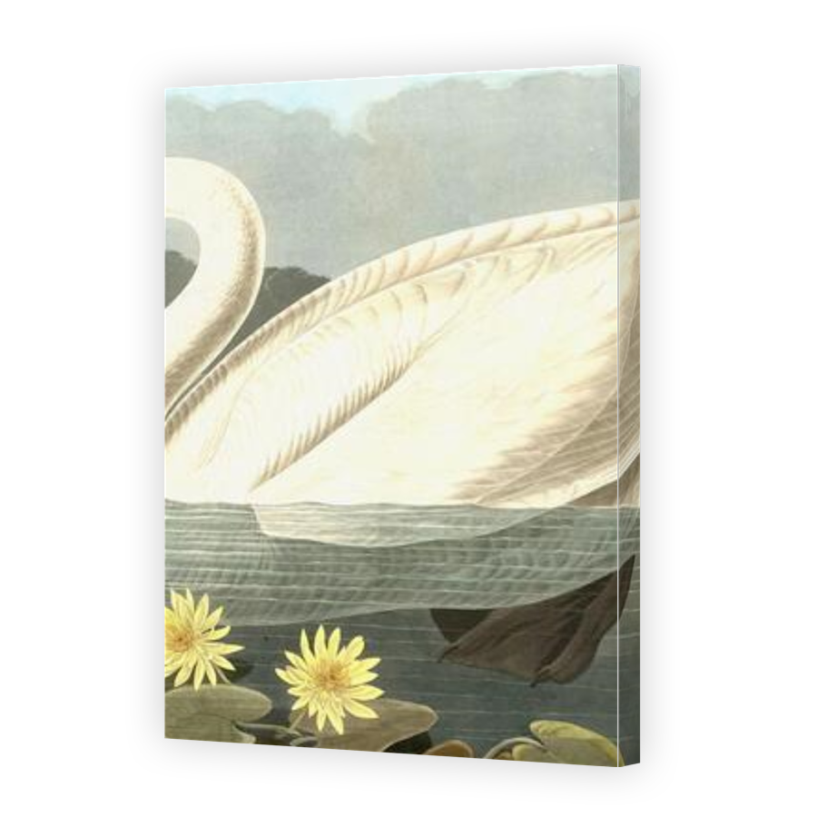 Thumbnail for Canvas - Gallery Canvas Wrap
