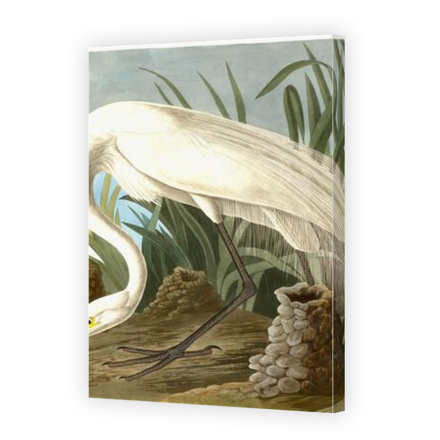 Thumbnail for Canvas - Gallery Canvas Wrap