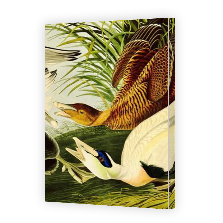Thumbnail for Canvas - Gallery Canvas Wrap