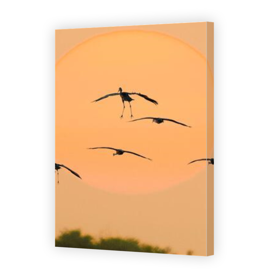 Thumbnail for Canvas - Gallery Canvas Wrap