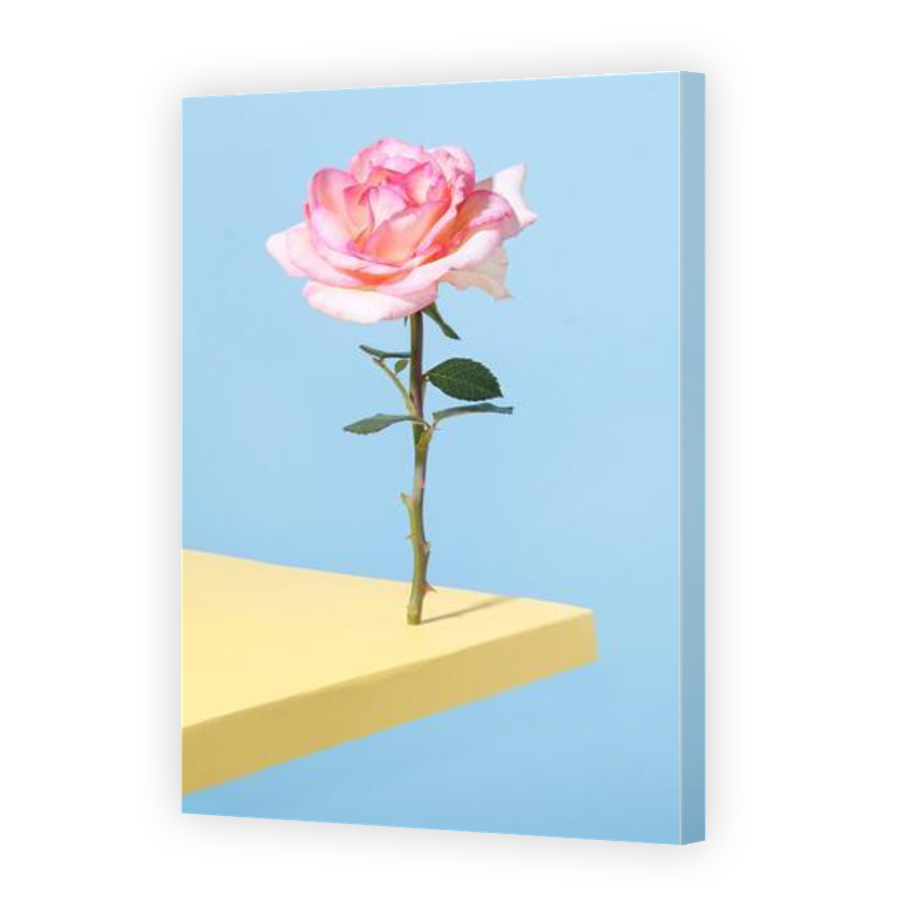 Thumbnail for Canvas - Gallery Canvas Wrap