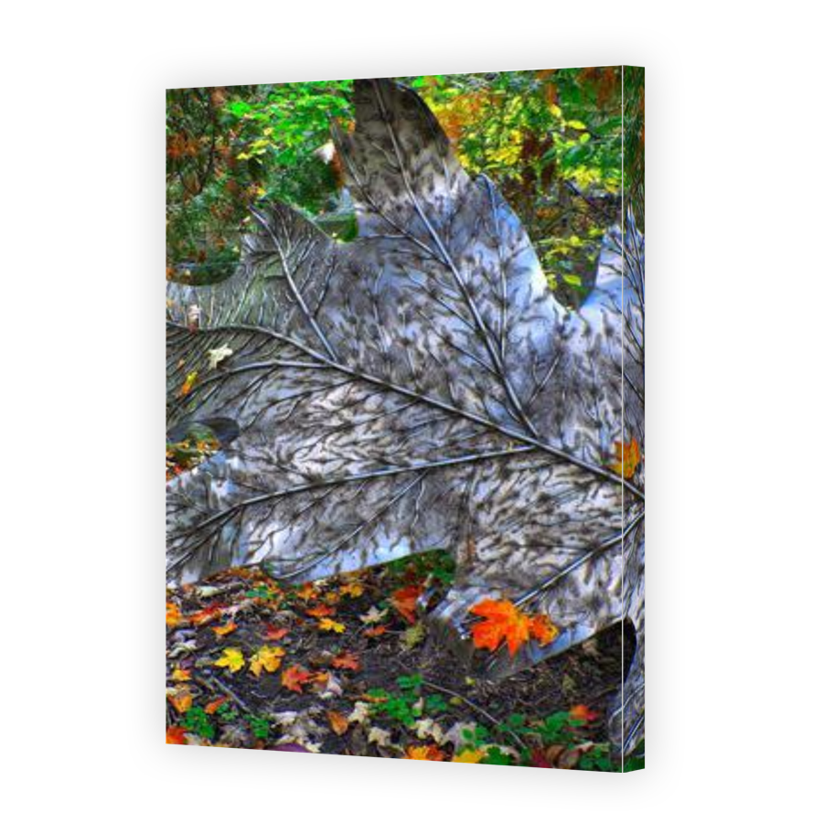 Thumbnail for Canvas - Gallery Canvas Wrap