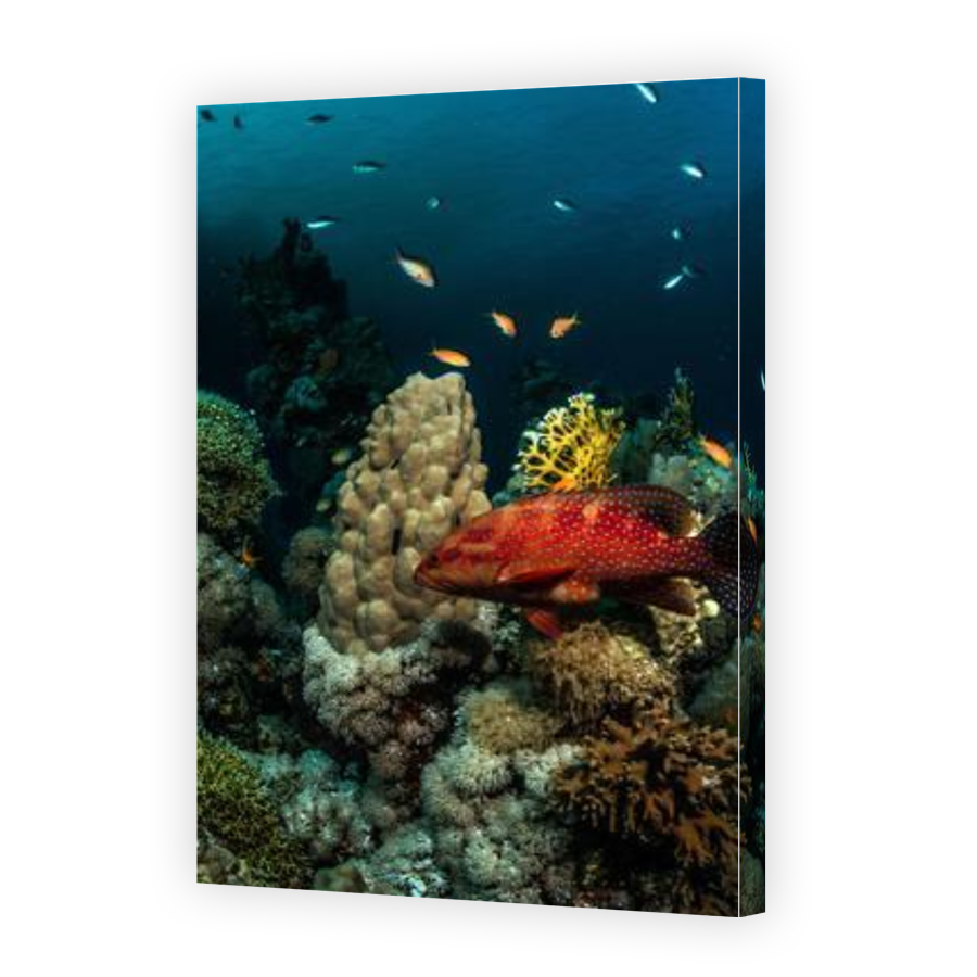 Thumbnail for Canvas - Gallery Canvas Wrap