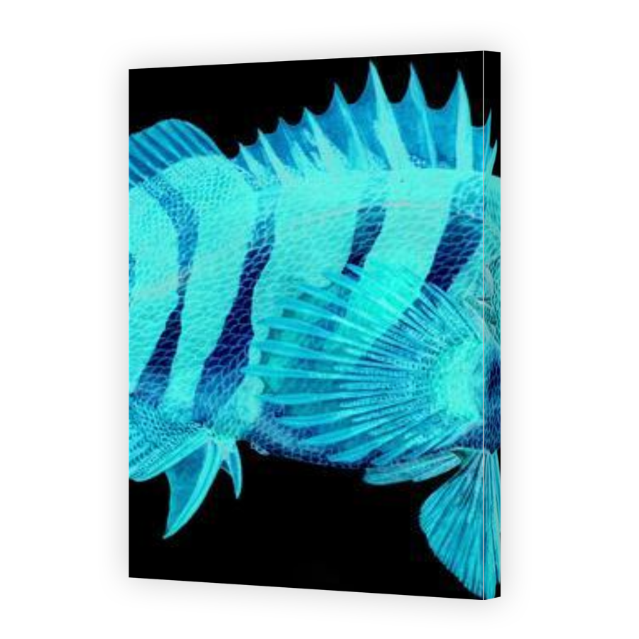 Thumbnail for Canvas - Gallery Canvas Wrap