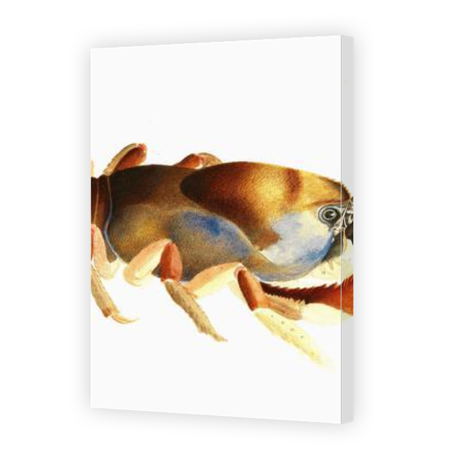 Thumbnail for Canvas - Gallery Canvas Wrap
