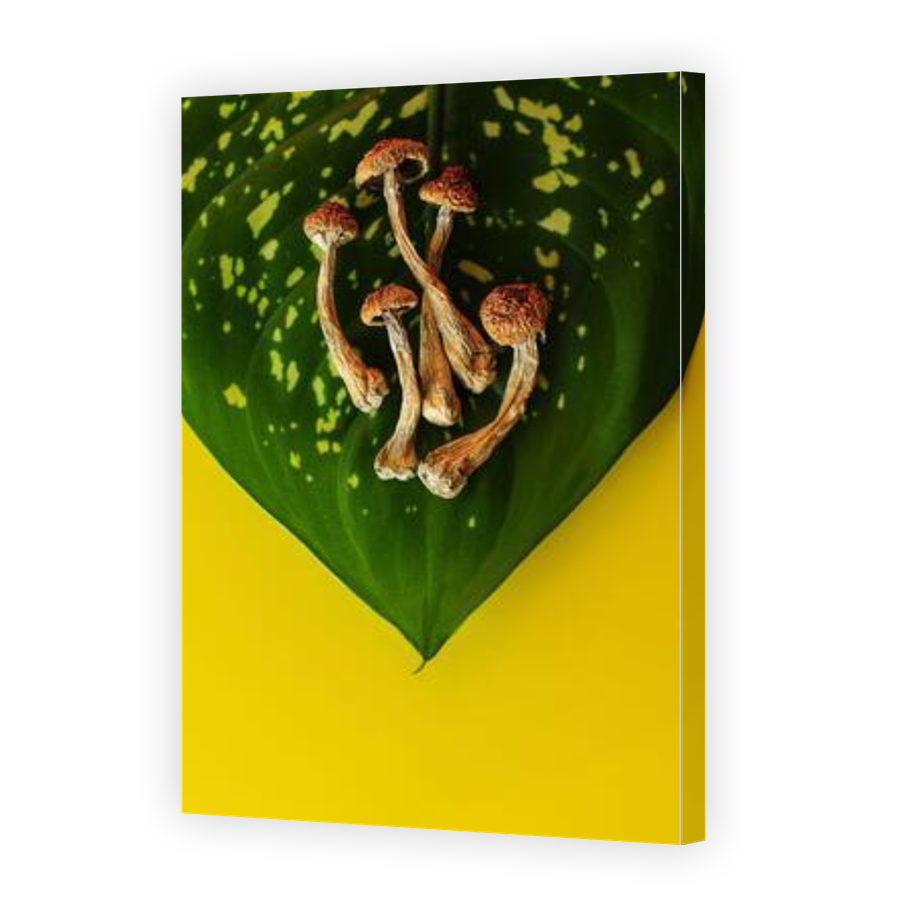 Thumbnail for Canvas - Gallery Canvas Wrap