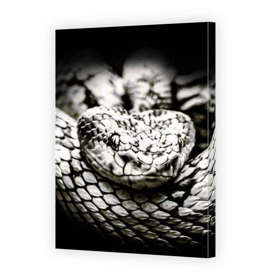 Thumbnail for Canvas - Gallery Canvas Wrap