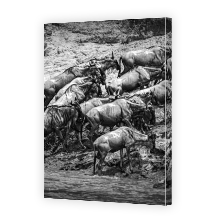 Thumbnail for Canvas - Gallery Canvas Wrap