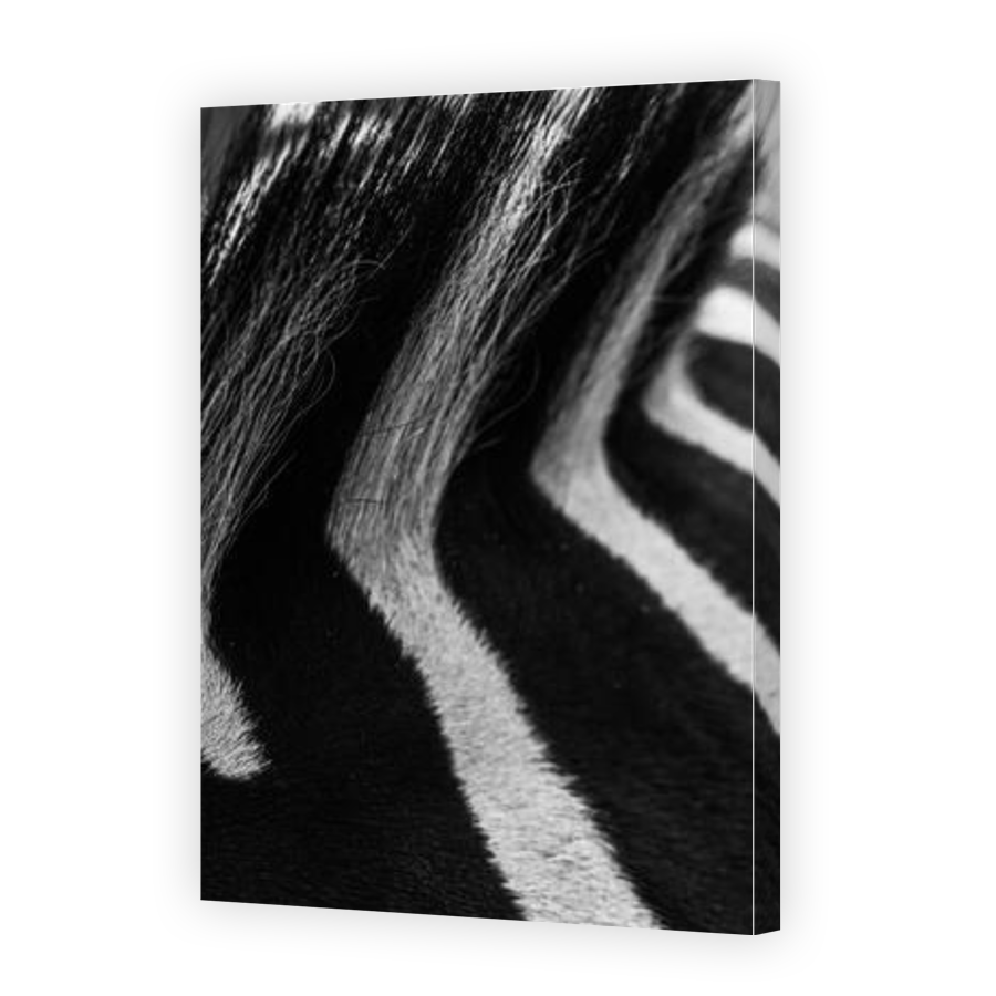 Thumbnail for Canvas - Gallery Canvas Wrap