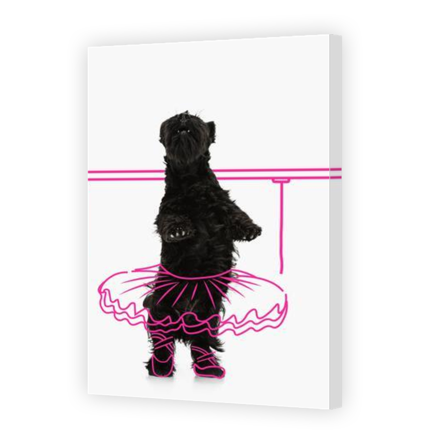 Thumbnail for Canvas - Gallery Canvas Wrap