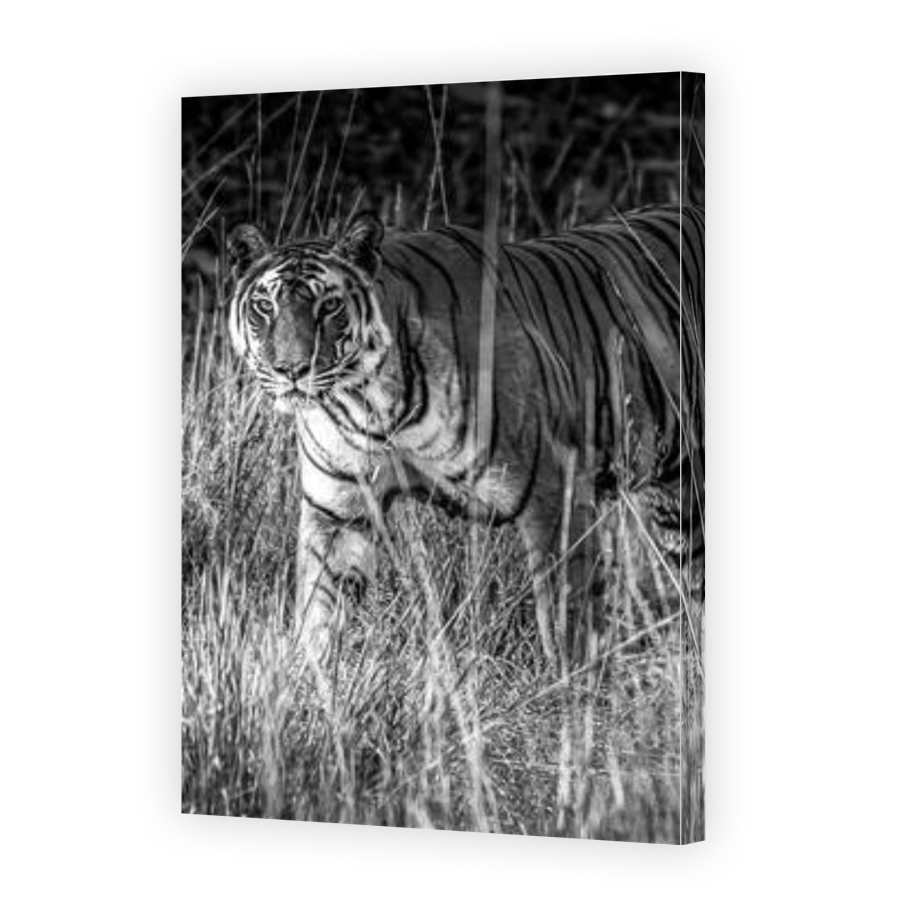 Thumbnail for Canvas - Gallery Canvas Wrap