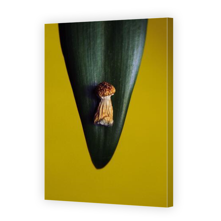 Thumbnail for Canvas - Gallery Canvas Wrap