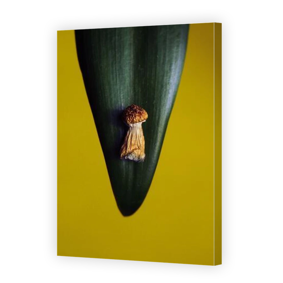 Thumbnail for Canvas - Gallery Canvas Wrap