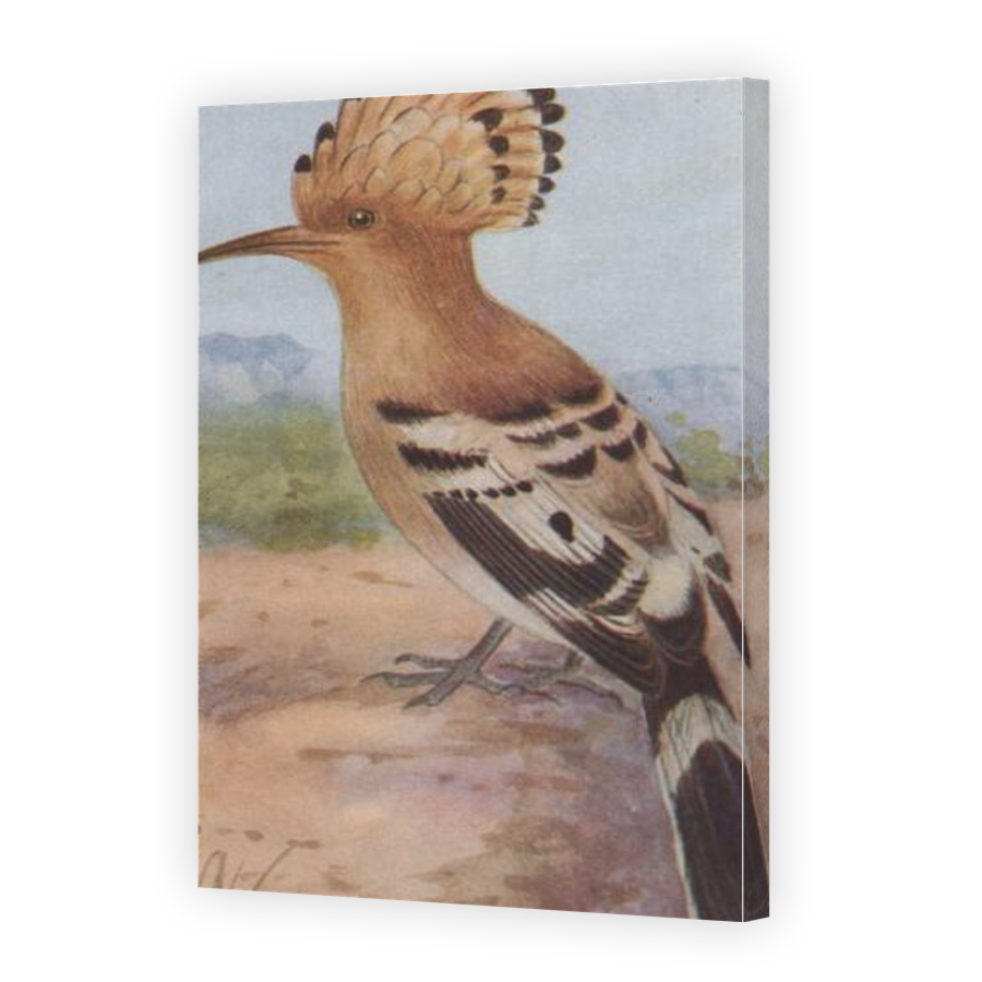 Thumbnail for Canvas - Gallery Canvas Wrap