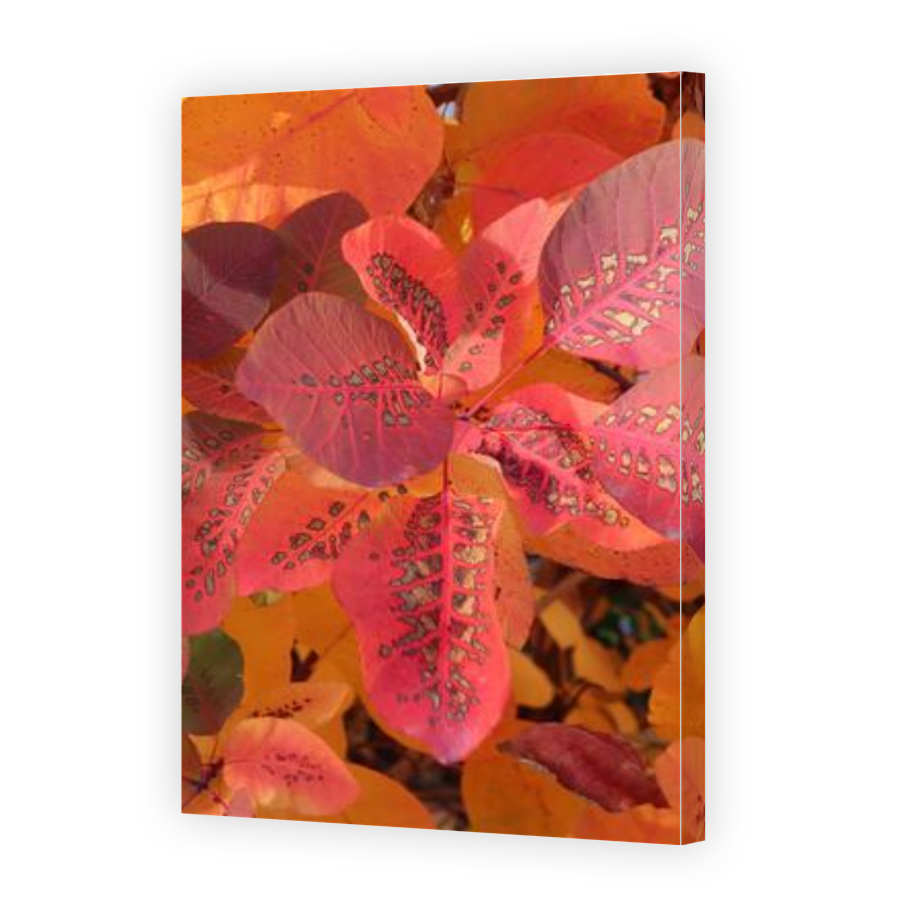 Thumbnail for Canvas - Gallery Canvas Wrap
