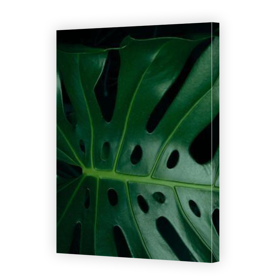 Thumbnail for Canvas - Gallery Canvas Wrap