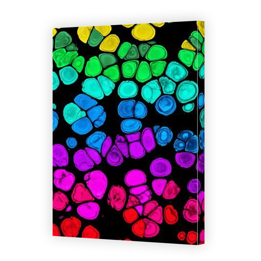 Thumbnail for Canvas - Gallery Canvas Wrap