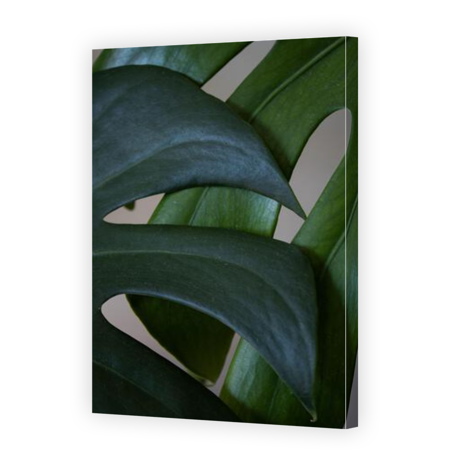 Thumbnail for Canvas - Gallery Canvas Wrap