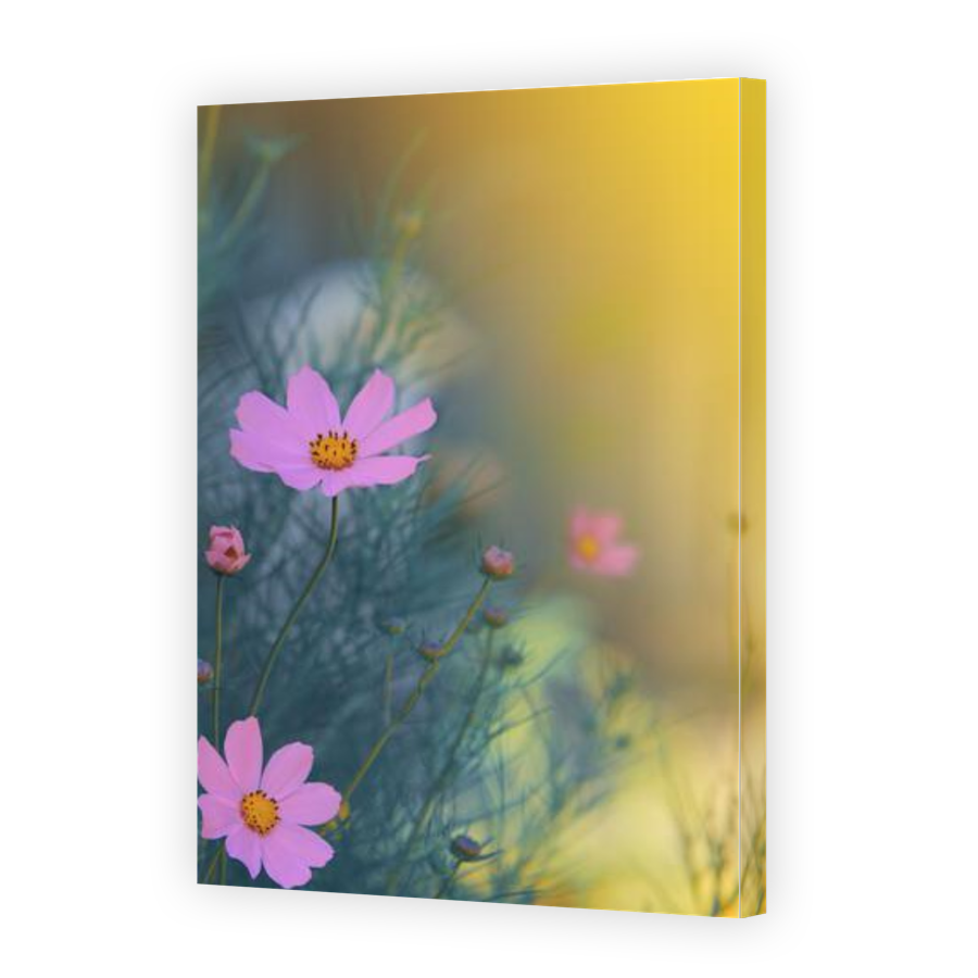 Thumbnail for Canvas - Gallery Canvas Wrap