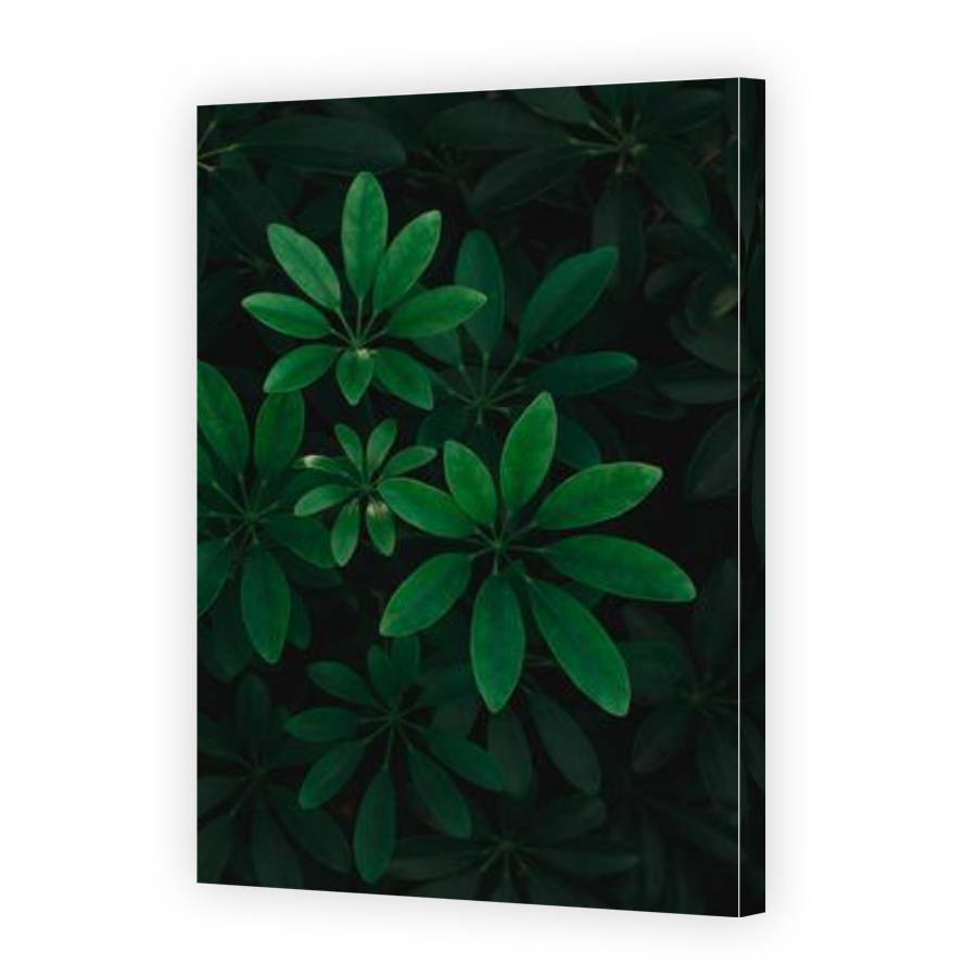 Thumbnail for Canvas - Gallery Canvas Wrap