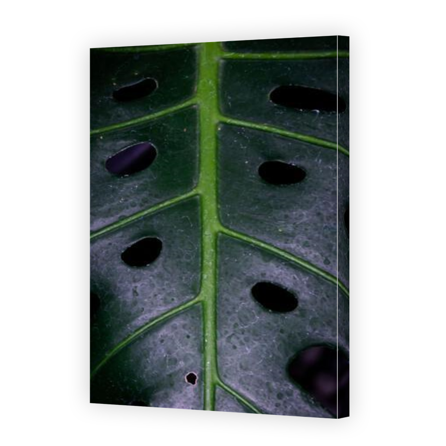 Thumbnail for Canvas - Gallery Canvas Wrap