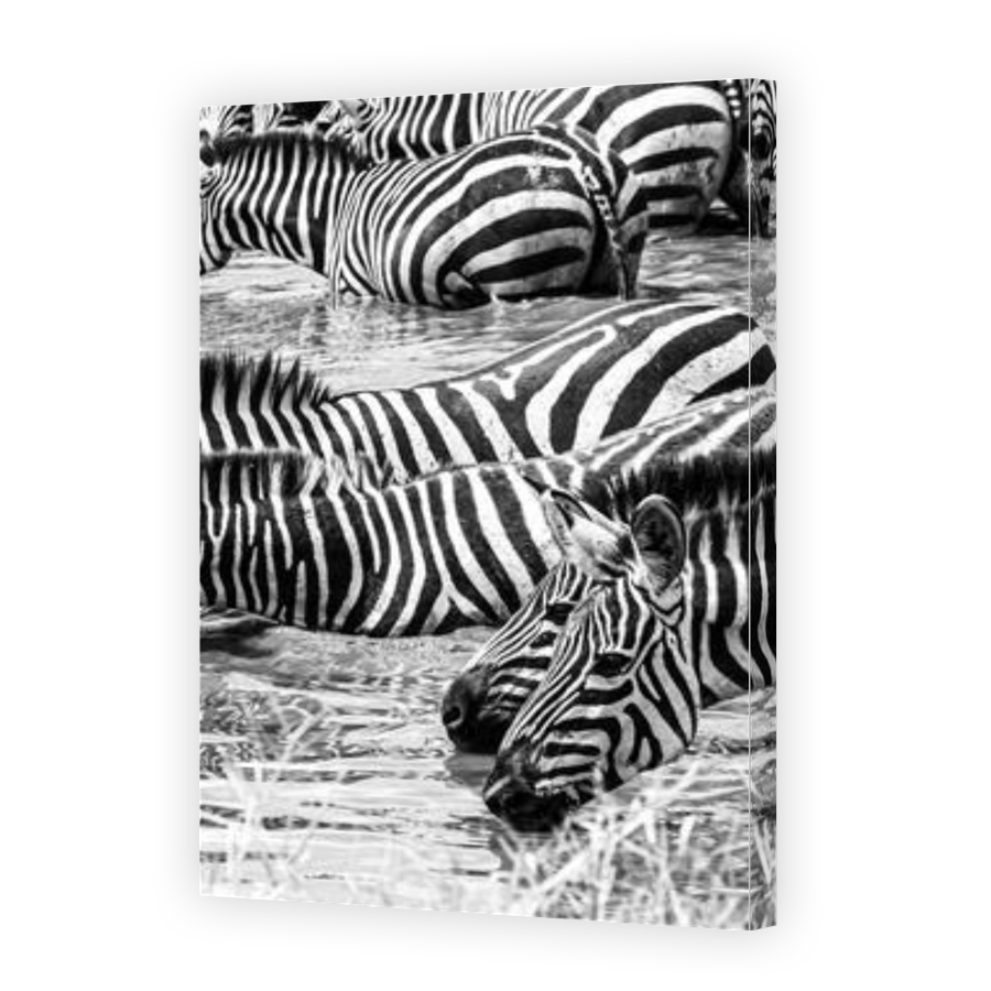 Thumbnail for Canvas - Gallery Canvas Wrap