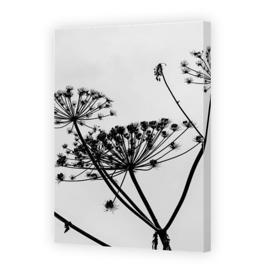 Thumbnail for Canvas - Gallery Canvas Wrap