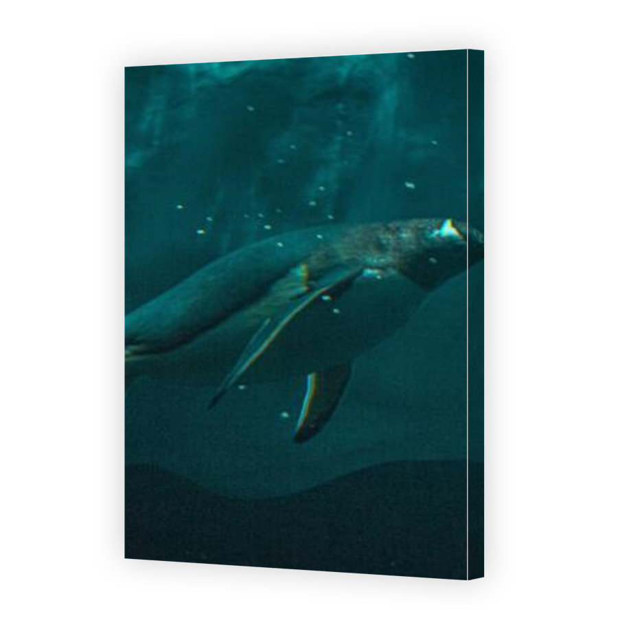 Thumbnail for Canvas - Gallery Canvas Wrap