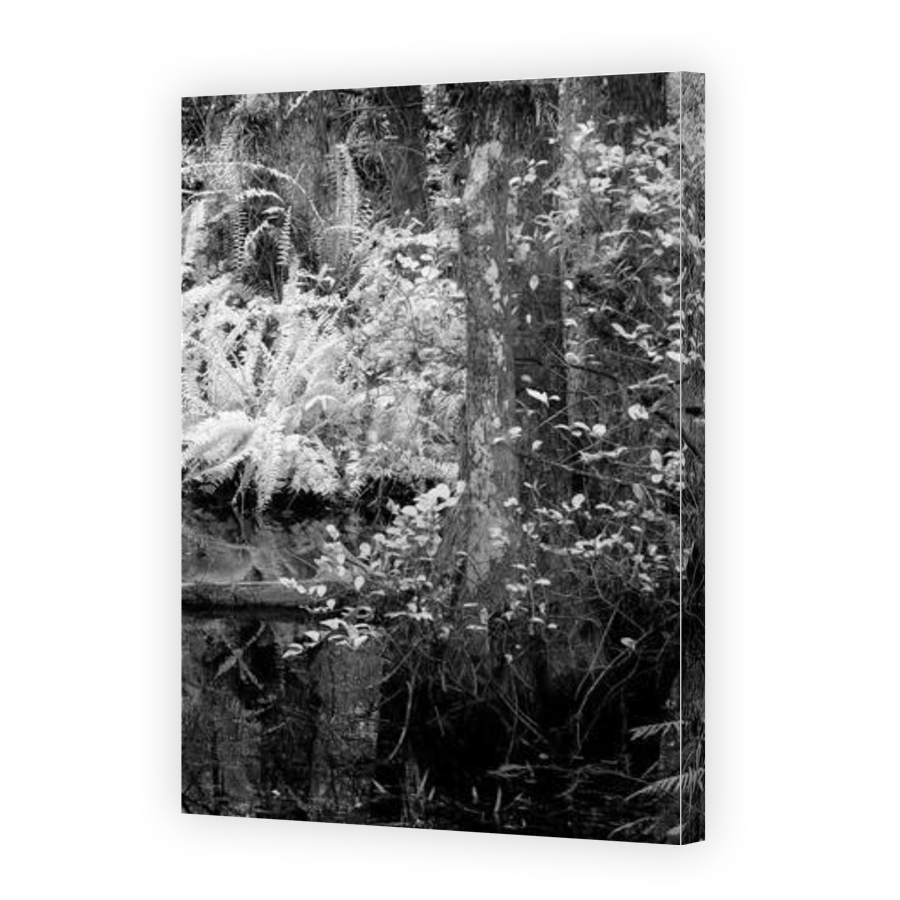 Thumbnail for Canvas - Gallery Canvas Wrap