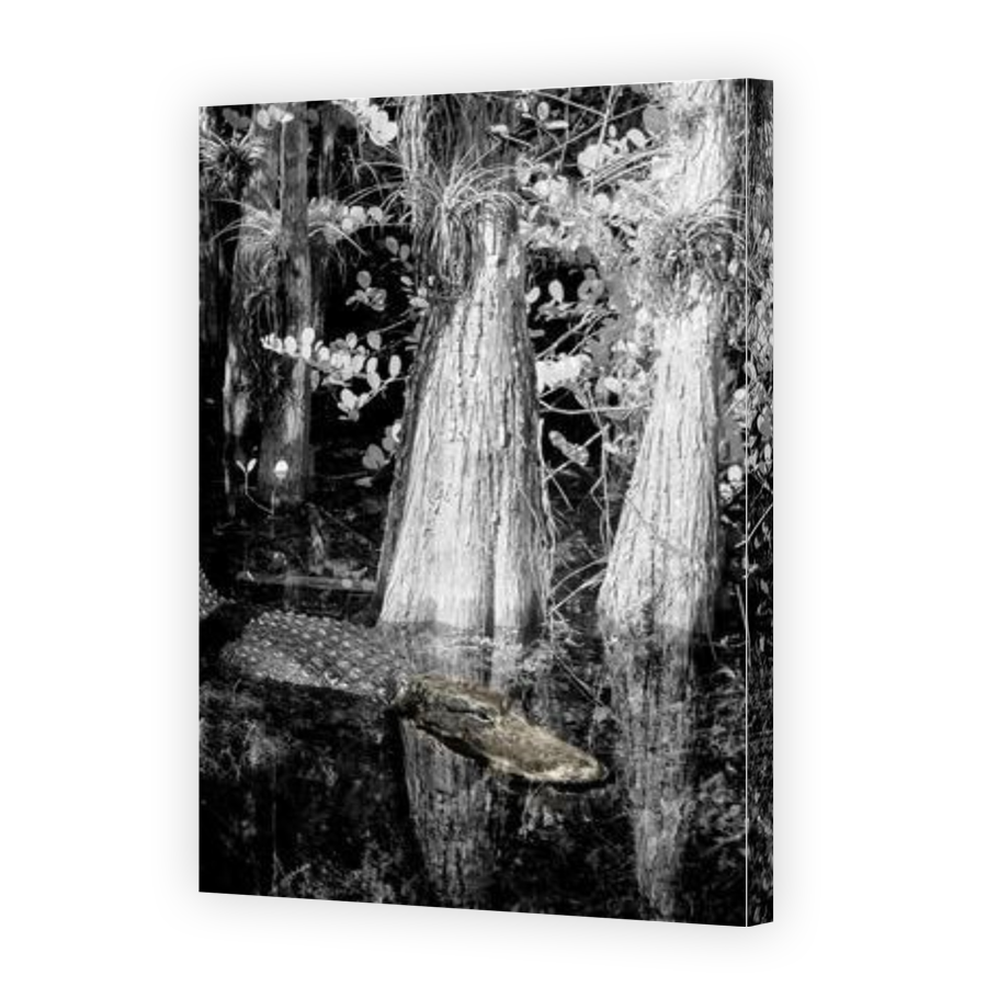 Thumbnail for Canvas - Gallery Canvas Wrap