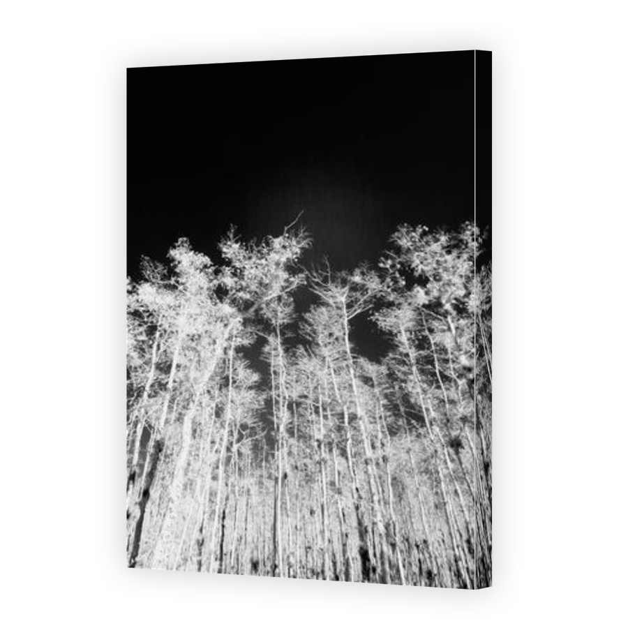 Thumbnail for Canvas - Gallery Canvas Wrap