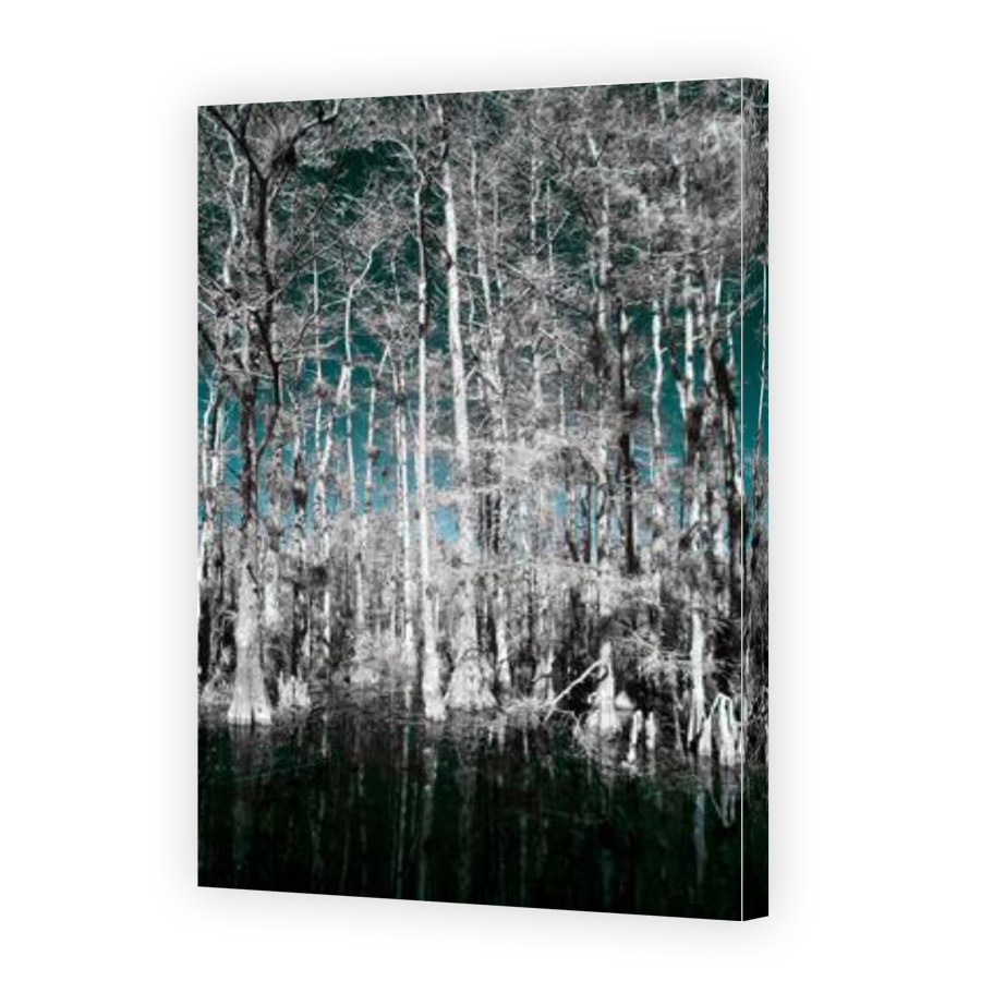 Thumbnail for Canvas - Gallery Canvas Wrap