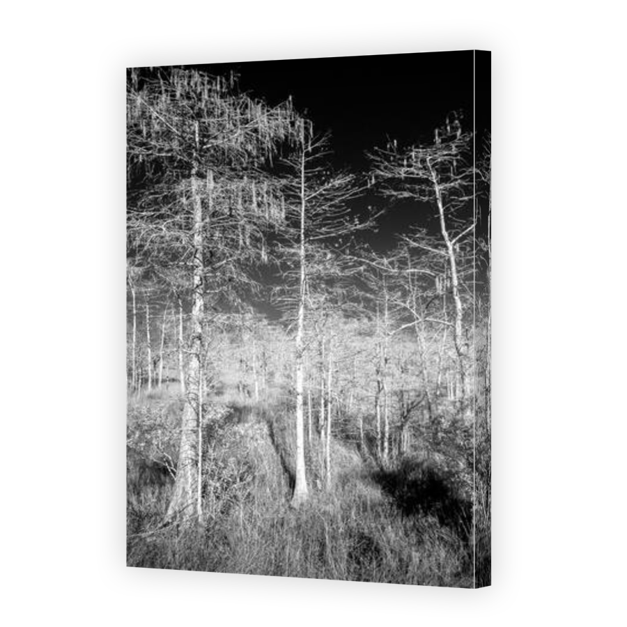 Thumbnail for Canvas - Gallery Canvas Wrap