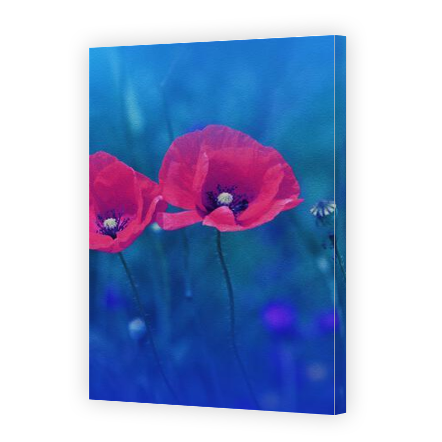 Thumbnail for Canvas - Gallery Canvas Wrap