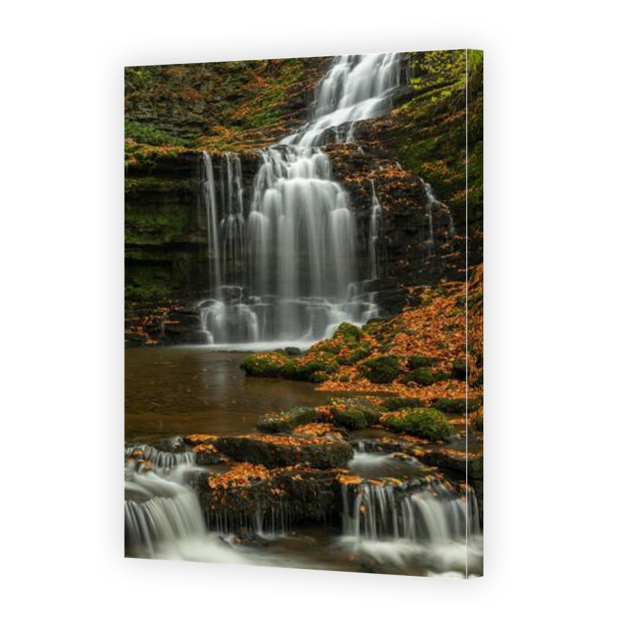 Thumbnail for Canvas - Gallery Canvas Wrap