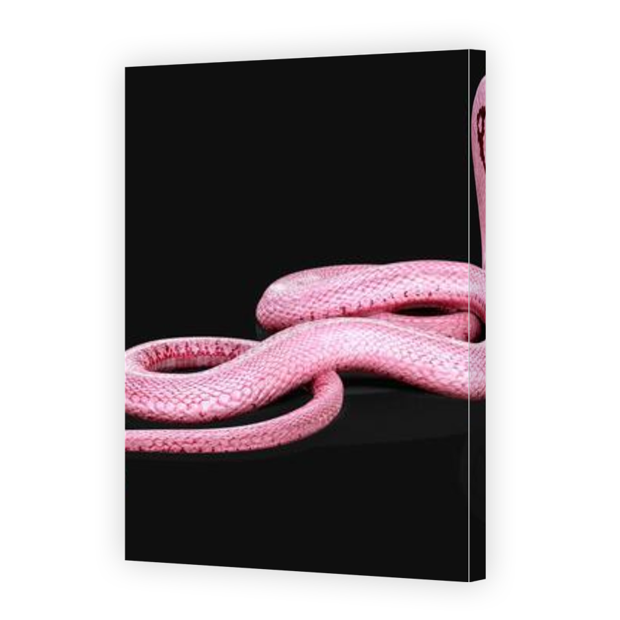 Thumbnail for Canvas - Gallery Canvas Wrap