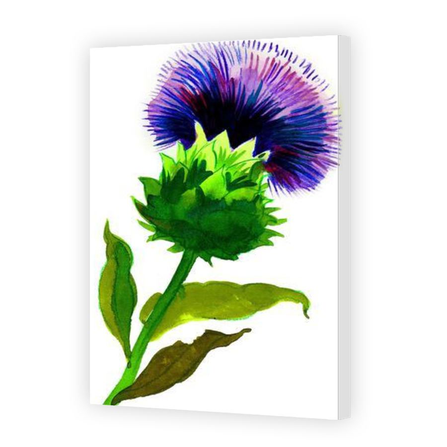 Thumbnail for Canvas - Gallery Canvas Wrap