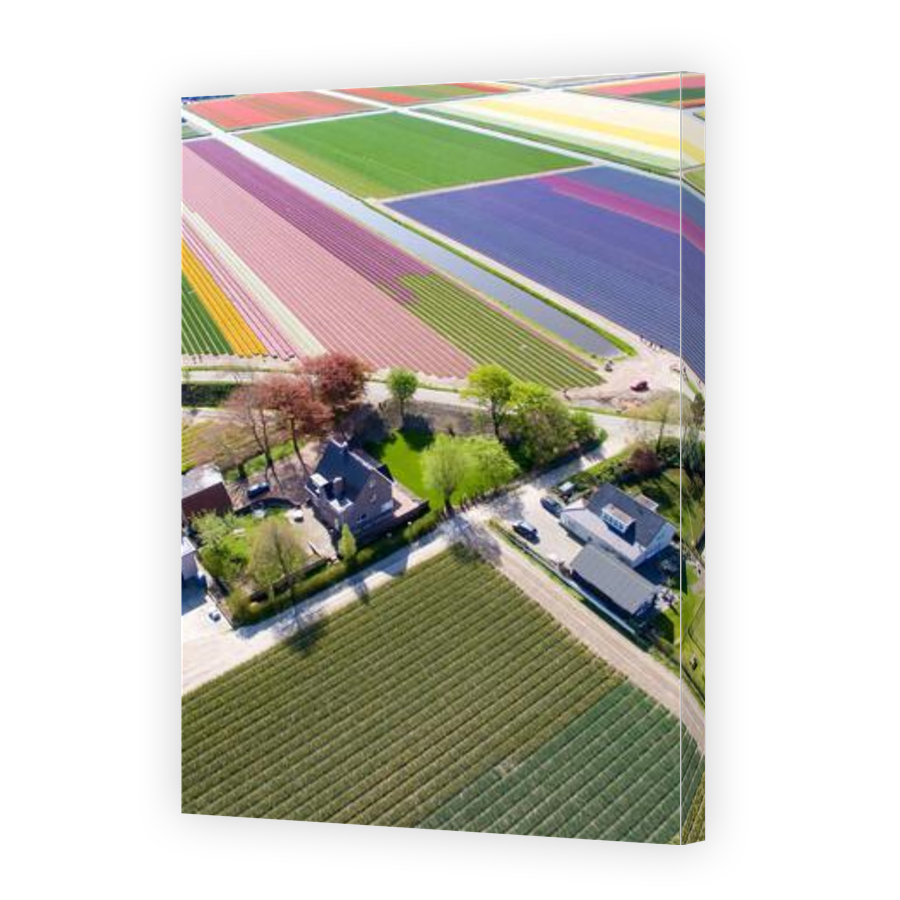 Thumbnail for Canvas - Gallery Canvas Wrap