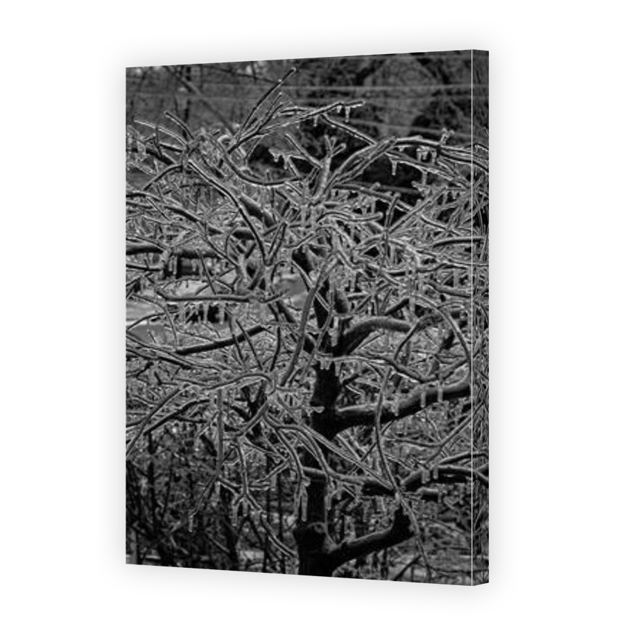 Thumbnail for Canvas - Gallery Canvas Wrap