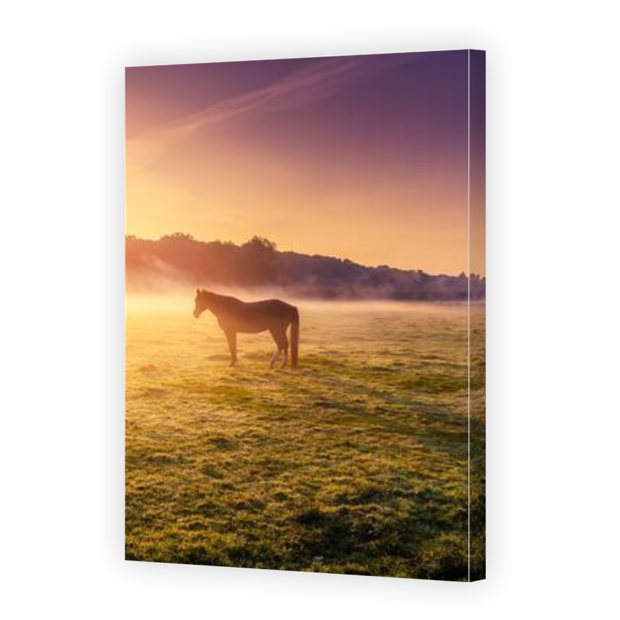 Thumbnail for Canvas - Gallery Canvas Wrap