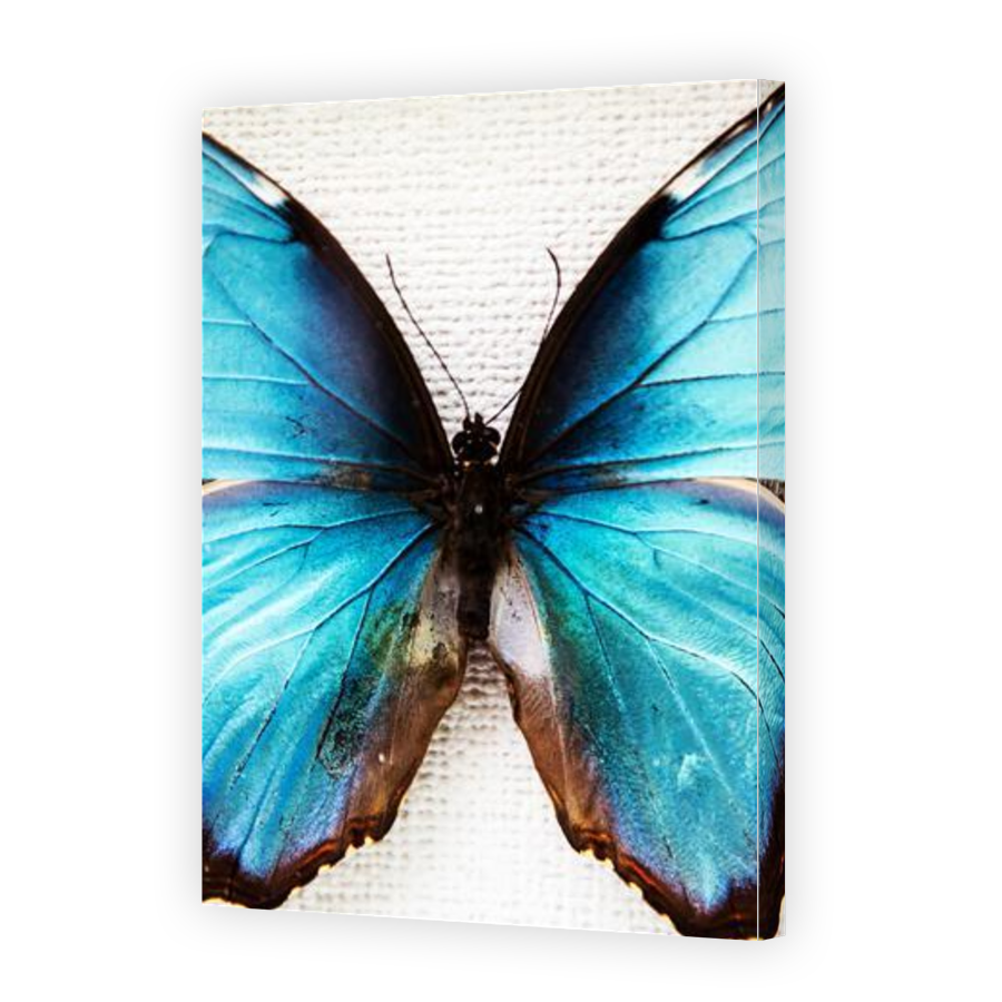 Thumbnail for Canvas - Gallery Canvas Wrap