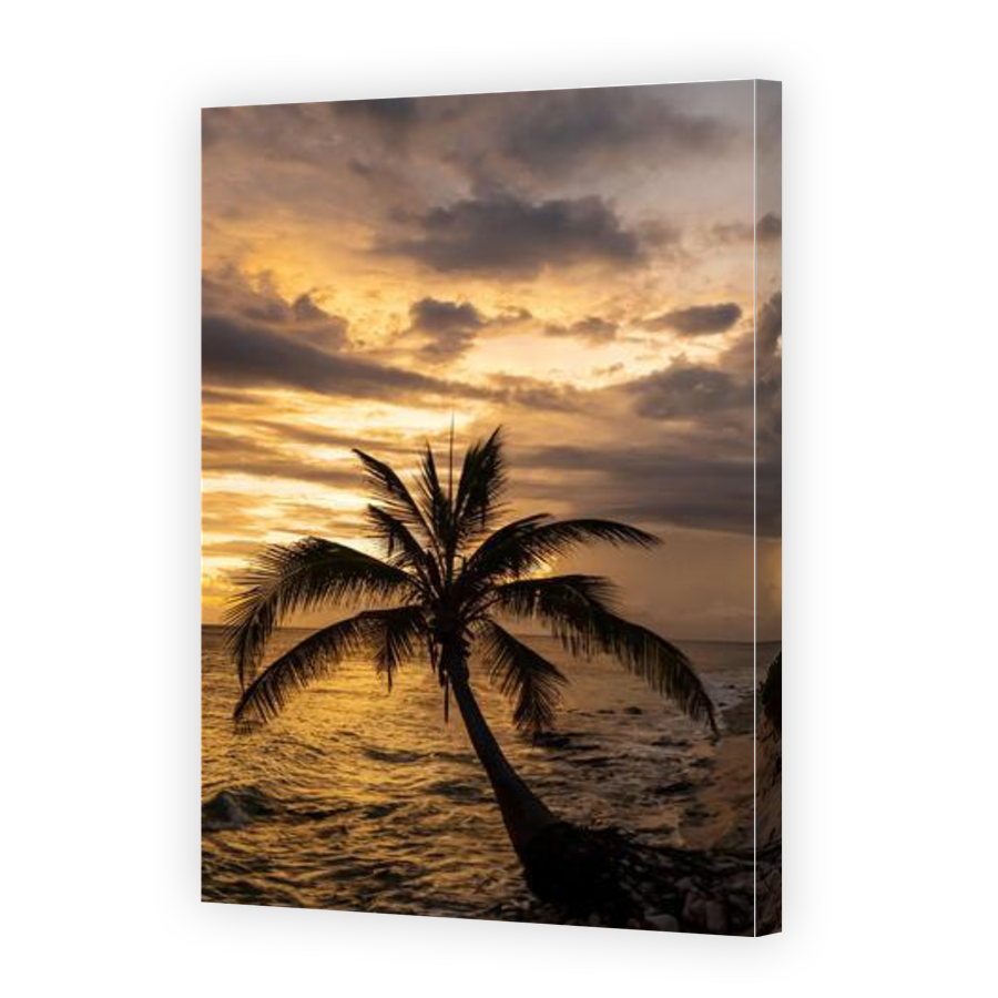 Thumbnail for Canvas - Gallery Canvas Wrap