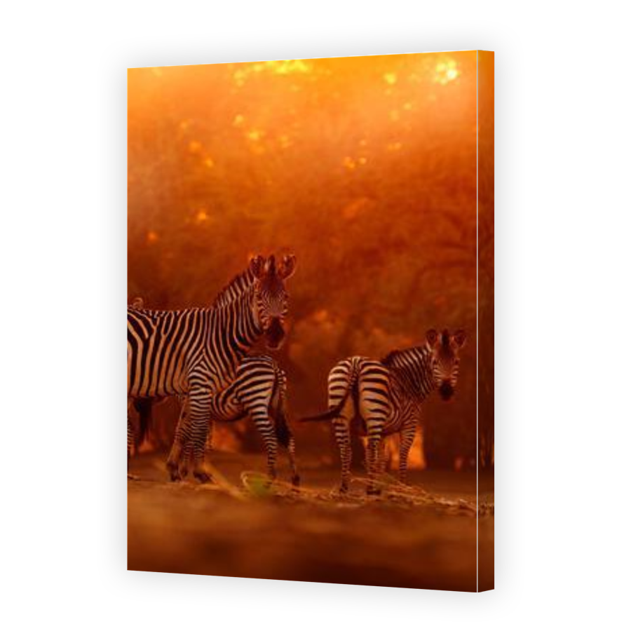Thumbnail for Canvas - Gallery Canvas Wrap