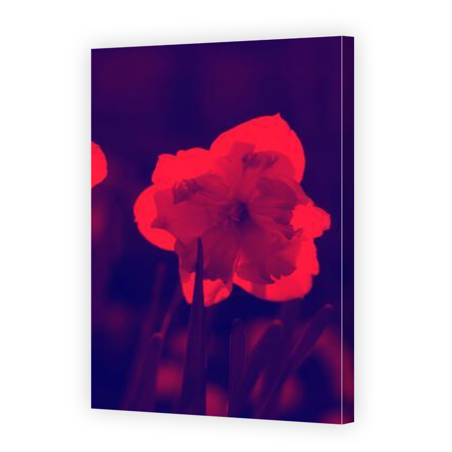 Thumbnail for Canvas - Gallery Canvas Wrap