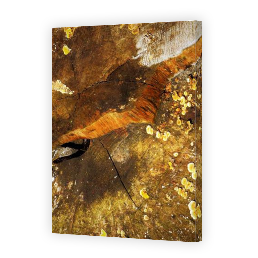 Thumbnail for Canvas - Gallery Canvas Wrap