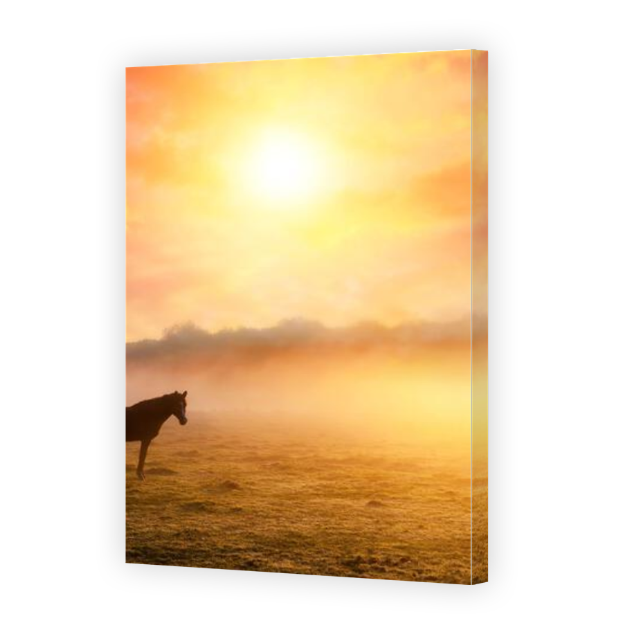 Thumbnail for Canvas - Gallery Canvas Wrap