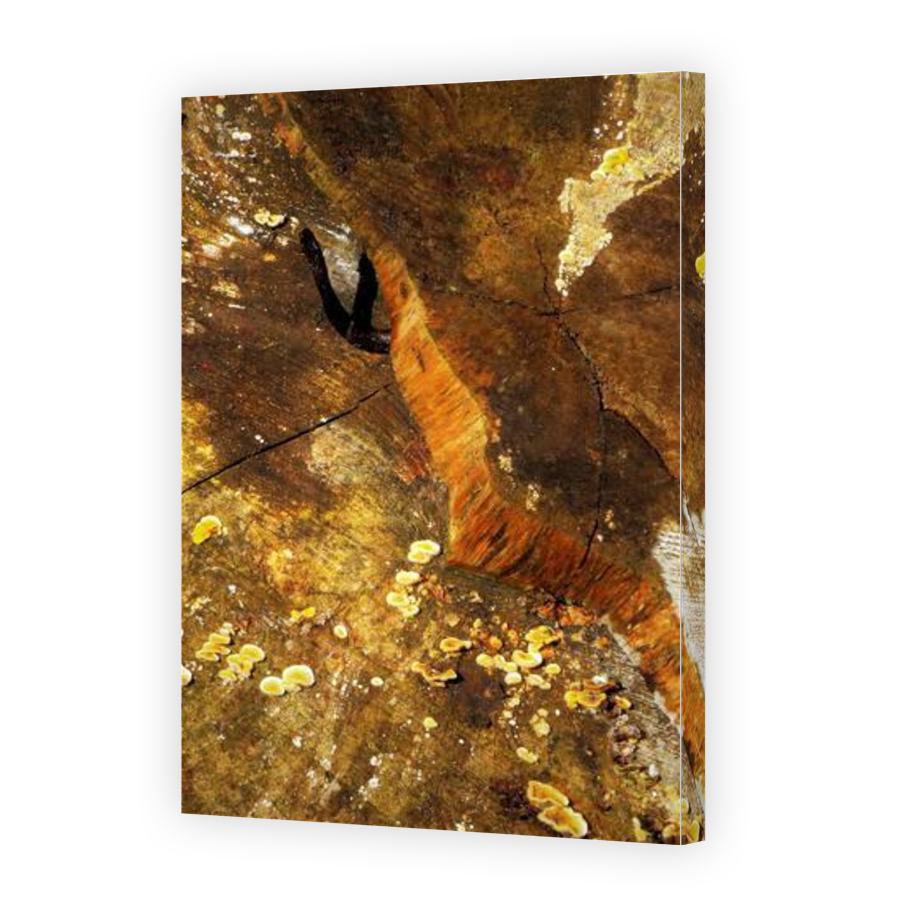 Thumbnail for Canvas - Gallery Canvas Wrap