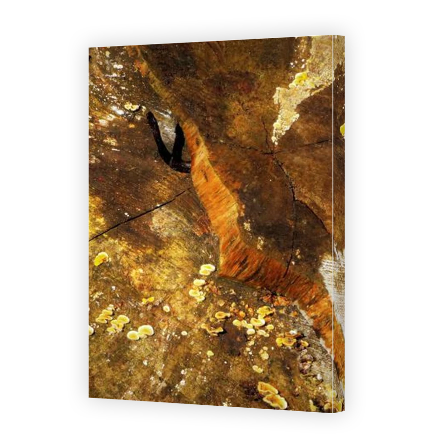 Thumbnail for Canvas - Gallery Canvas Wrap