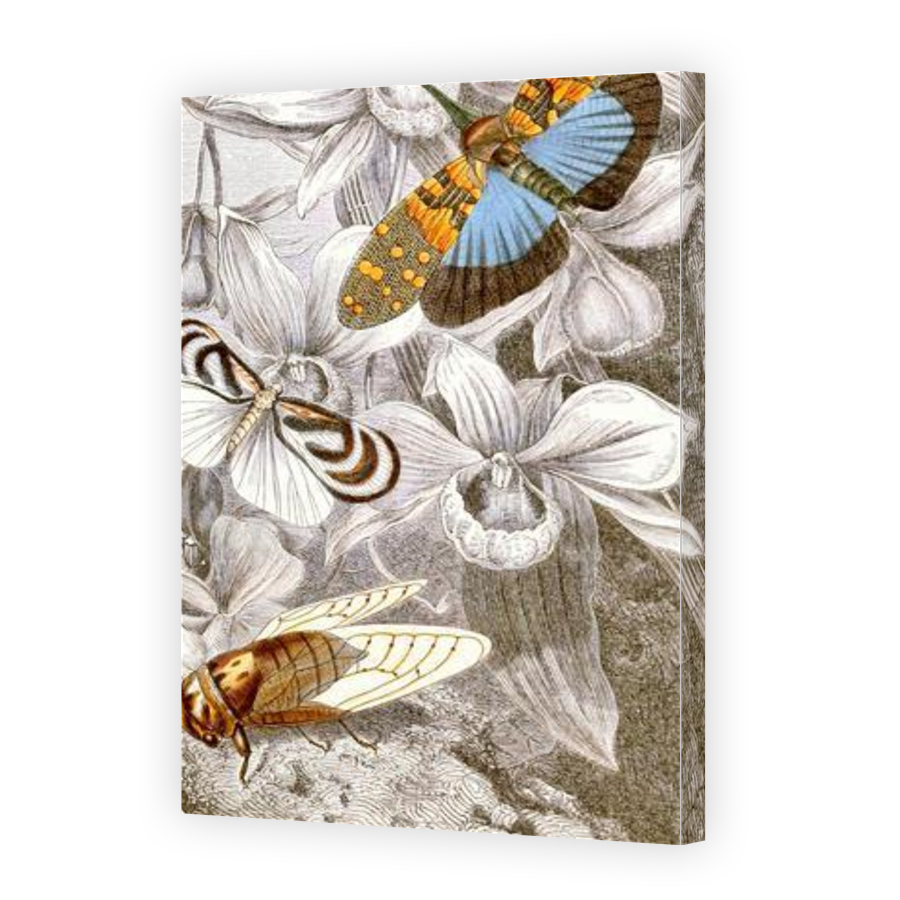 Thumbnail for Canvas - Gallery Canvas Wrap
