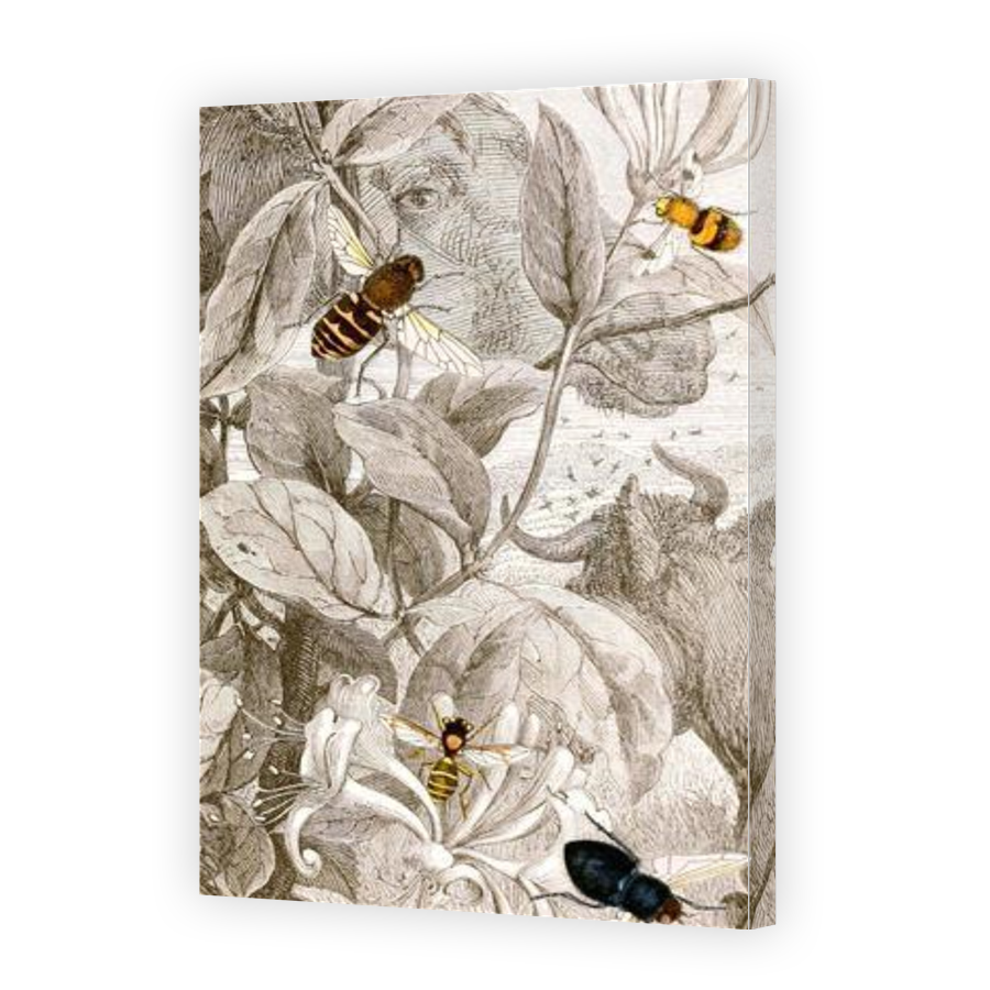 Thumbnail for Canvas - Gallery Canvas Wrap